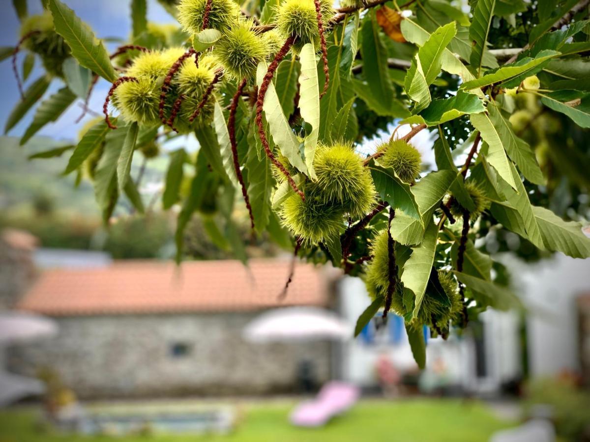 Casa Do Priolo - Villaverde Azores Feteiras Exteriér fotografie